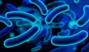 bacterial infection