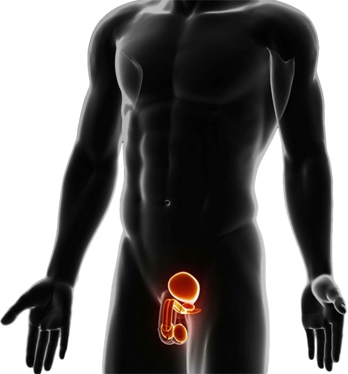 erectile dysfunction