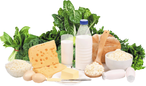 CalciumFoods